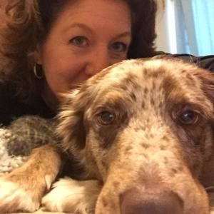 Meet your Posher, Robin